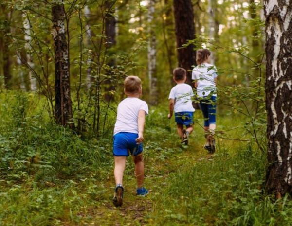 Kinder-Naturerlebnisse mit Waldkraftwerk