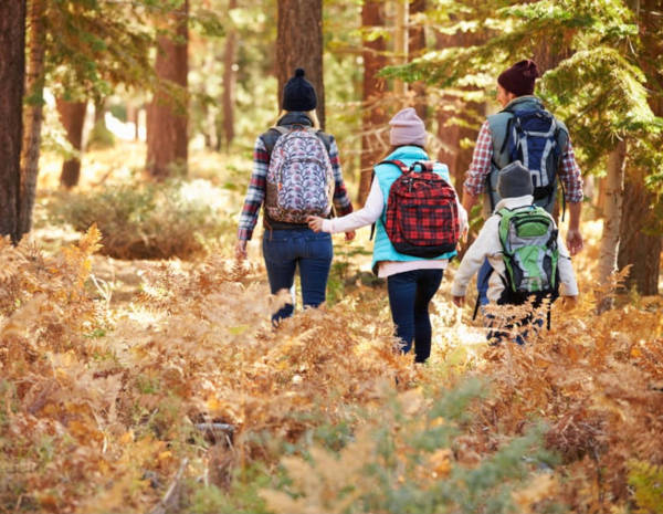 Naturerlebnisse für Familien
